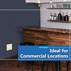 LIDER Dual Decorator Switch or Receptacle Metal