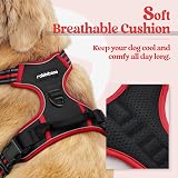 rabbitgoo Dog Harness Small No Pull Reflective Adjustable Vest with 2 Leash view 3