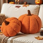 Lanpn Fall Pumpkin Pillows Set of 2, Halloween Decoration Decorative Throw Pillows Soft Fleece Sherpa Cute 3D Shaped Cushion for Sofa Couch Bedroom Autumn Thanksgiving (Orange, 12.6x8.7in &amp; 9x5.9in)