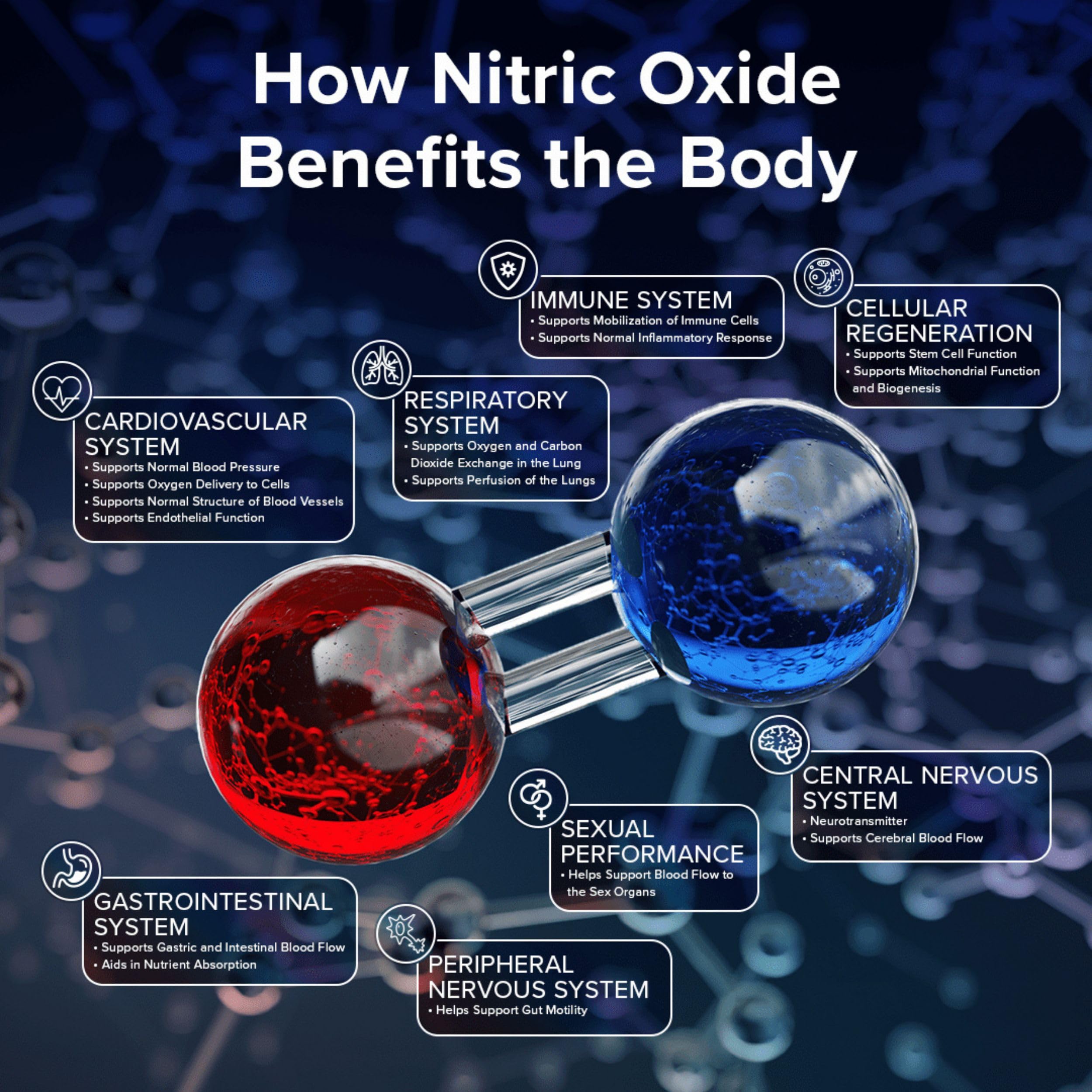 NO2U Bryan NITRICEUTICALS - Natural Nitric Oxide Supplements for Men & Women - Promotes Blood Circulation, Oxygen & Nutrient Delivery, Daily Wellness Support - No Gluten or Dairy - 60 Vegan Lozenges