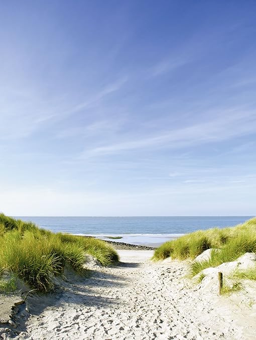 Download Weg zum strand wandkunst Desktop Wallpaper Weg Zum Strand Wandkunst