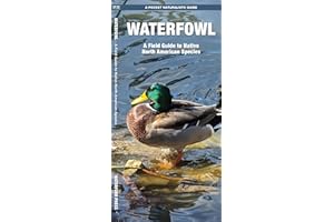Waterfowl: A Field Guide to Native North American Species