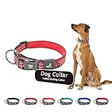 KRUZ PET Dog Collar for Small Dogs