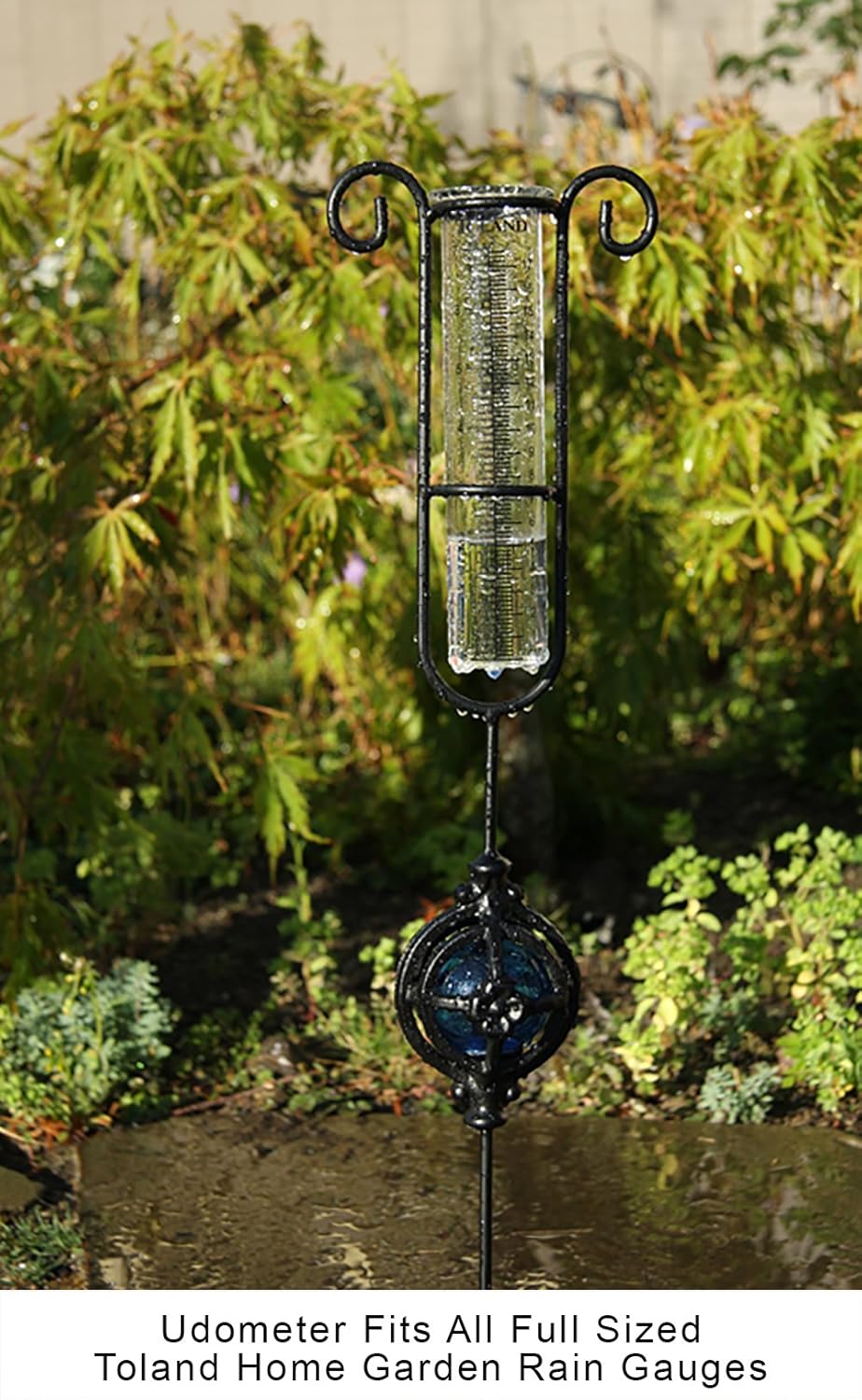 Rain Gauge Udometer Replacement Glass 8" Tall X 2" Dia LargePrint