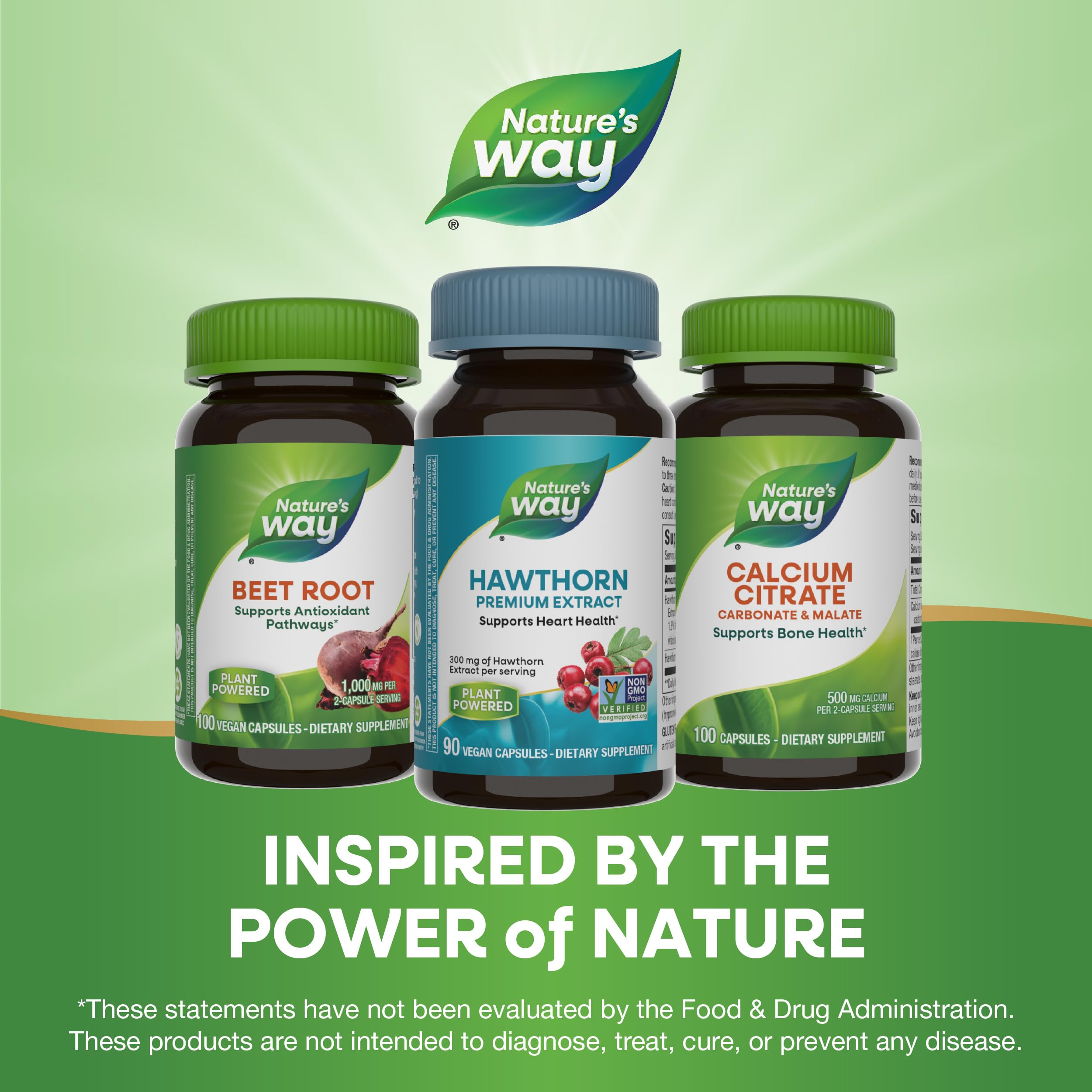 Nature's Way Hawthorn, Premium Extract, Support Heart Health*, Standardized to 1.8% Flavonoids, Non-GMO Project Verified, Vegan, 90 Capsules (Packaging May Vary)