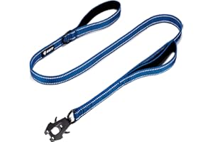 GEIT 4/5/6FT Heavy Duty Dog Leash with 2 Comfortable Padded Handles, Reflective Rope Leashes with Quick Release/Locking Tactical Frog Clip for Small Medium and Large Dogs, Blue