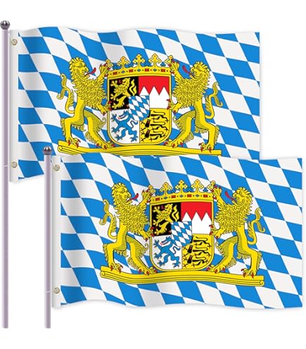 Grab the flag2 ライオン　キャンバスF6号　BAEZ3 Grab the flag2 ライオン キャンバスF6号 BAEZ3 - メルカリ