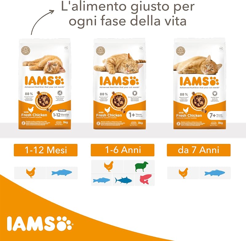 Cibo secco per gattini da 1-12 mesi con pesce oceanico, 10 kg