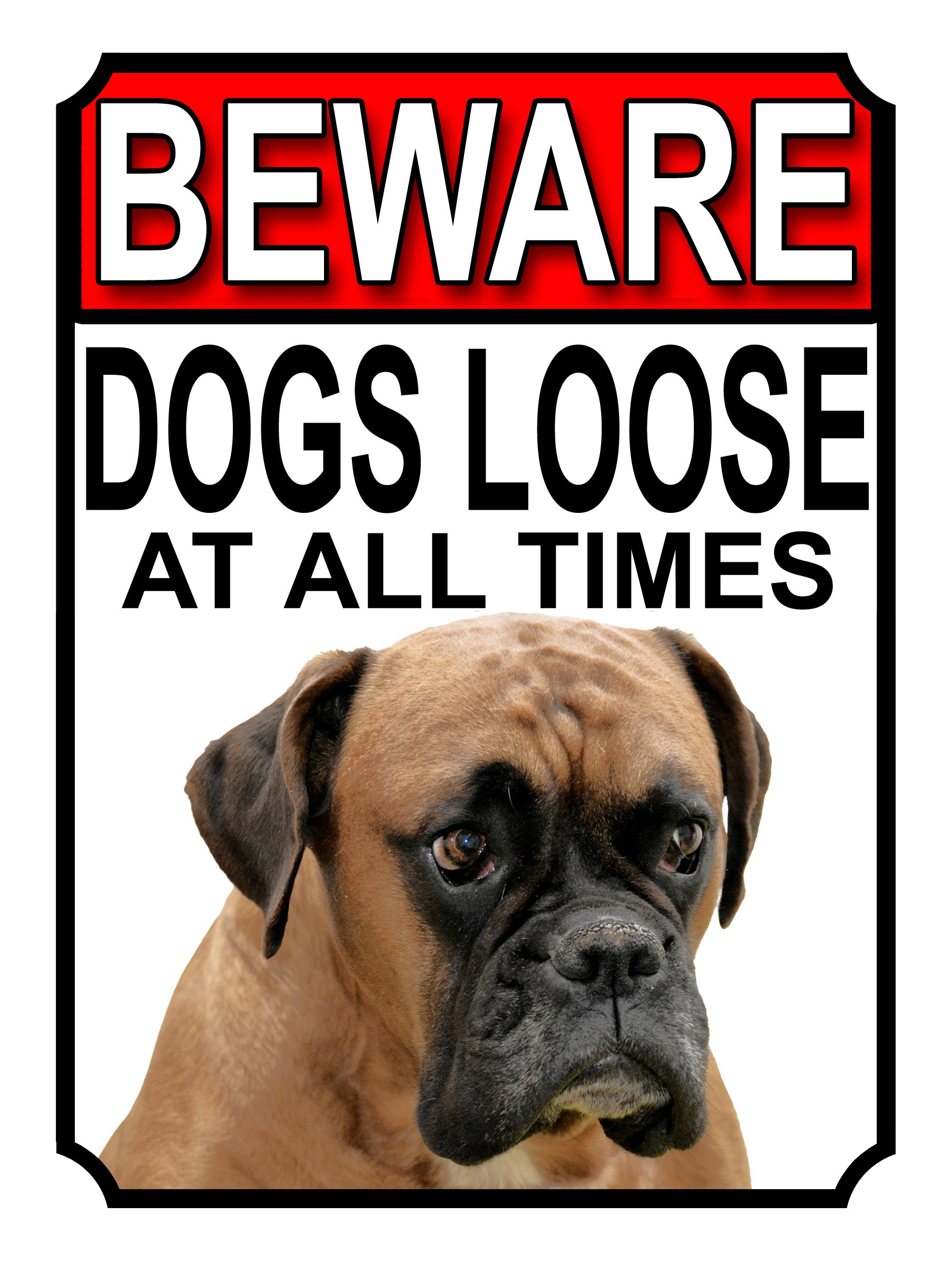 SHAWPRINT BEWARE DOGS LOOSE AT ALL TIMES METAL SIGN BOXER 200MM X 150MM (982H1)