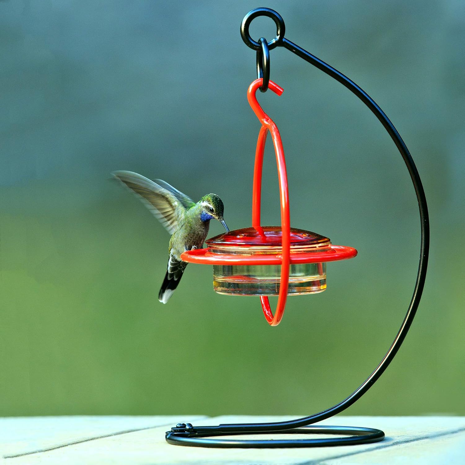 Amazon Com Mosaic Birds M424 Hummble Easy Hook Tabletop Stand