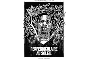 Perpendiculaire au soleil (French Edition)