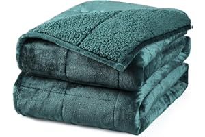 Aemicion Plush Sherpa Weighted Blanket Queen Size 15lbs - Soft Cozy Fleece Heavy Weighted Blanket, Breathable and Washable -Gift for Women Men-Green