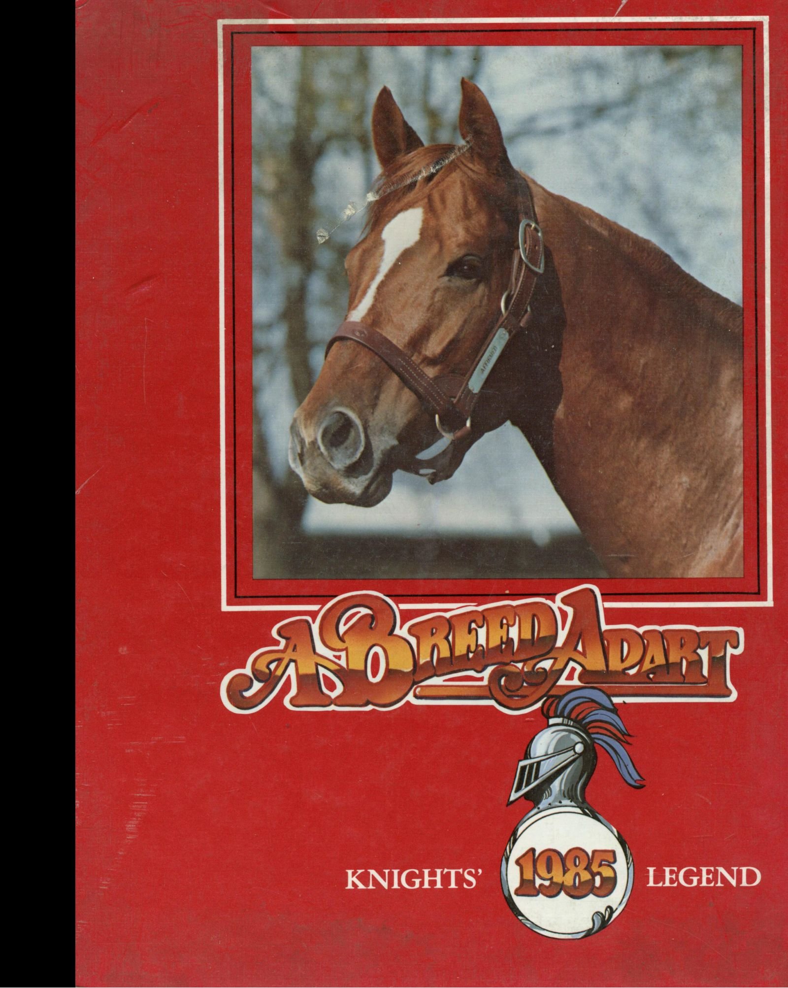 Reprint 1985 Yearbook Vanguard High School Ocala Florida