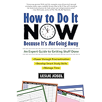 How to Do It Now Because It's Not Going Away: An Expert Guide to Getting Stuff Done book cover