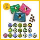 Seedball Bee Mix Wildflower Seed Bombs Pack of 3, 18 Balls UK Native view 2