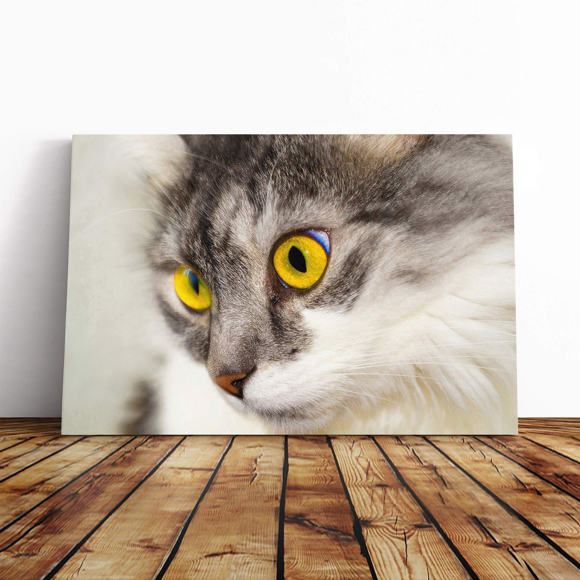 Cat Eyes (7) Canvas Print | Gallery Wrapped 30mm Frame Wall Art | 20x14 inches | Ready to Hang | Modern Animals Picture | Living Room Bedroom Lounge Office