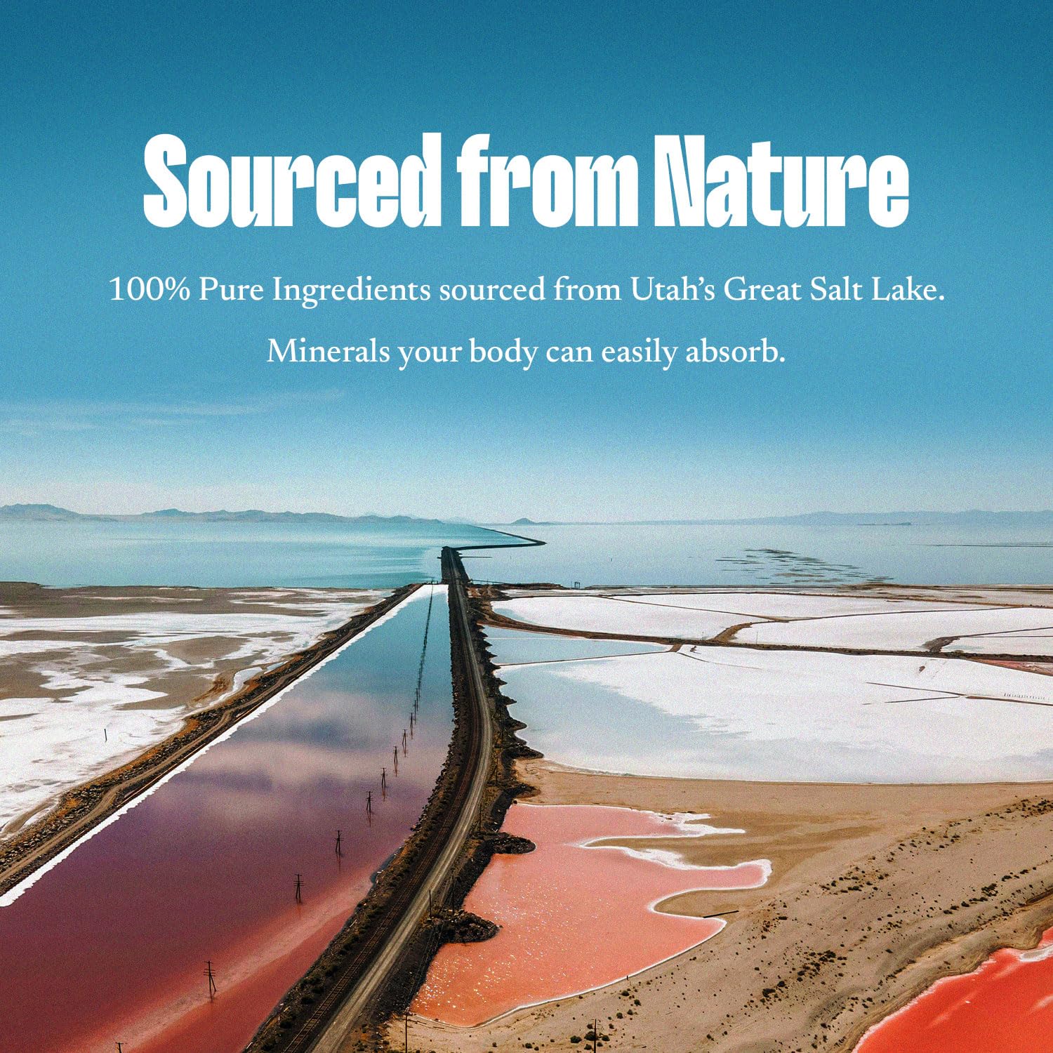 SALTT Relax Magnesium Drops - Ionic Magnesium Chloride w/Sodium, Potassium, Electrolytes - Trace Minerals Drops - Gluten Free, Sugar Free, Keto Friendly - from Utah's Great Salt Lake - 120ml Dropper