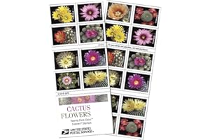 UNITED STATES POSTAL SERVICE Cactus Flowers 2 Books of 20 Forever First Class US Postage Stamps Celebration Wedding