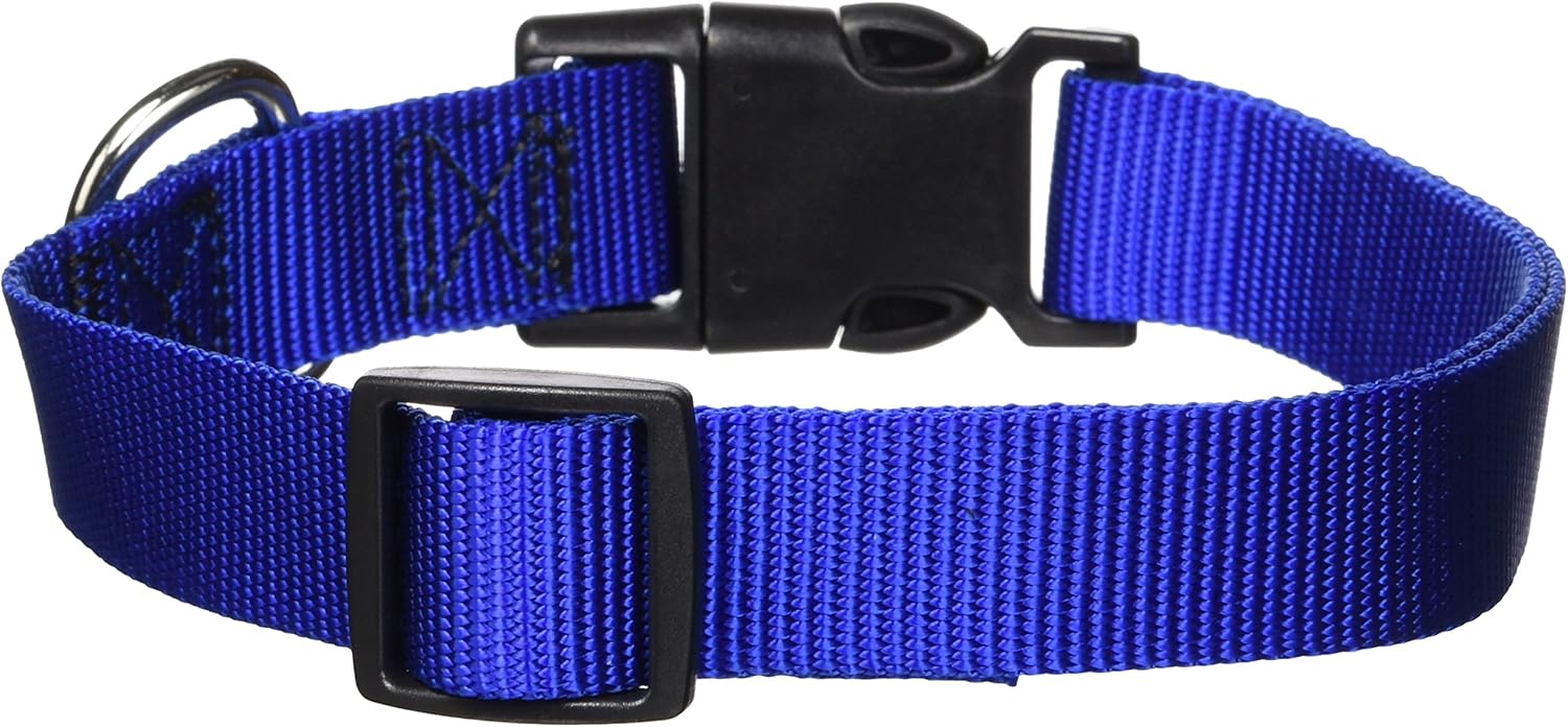 Guardian Gear Nylon Adjustable Dog Collar with Plastic Buckles, Fits Necks 18" to