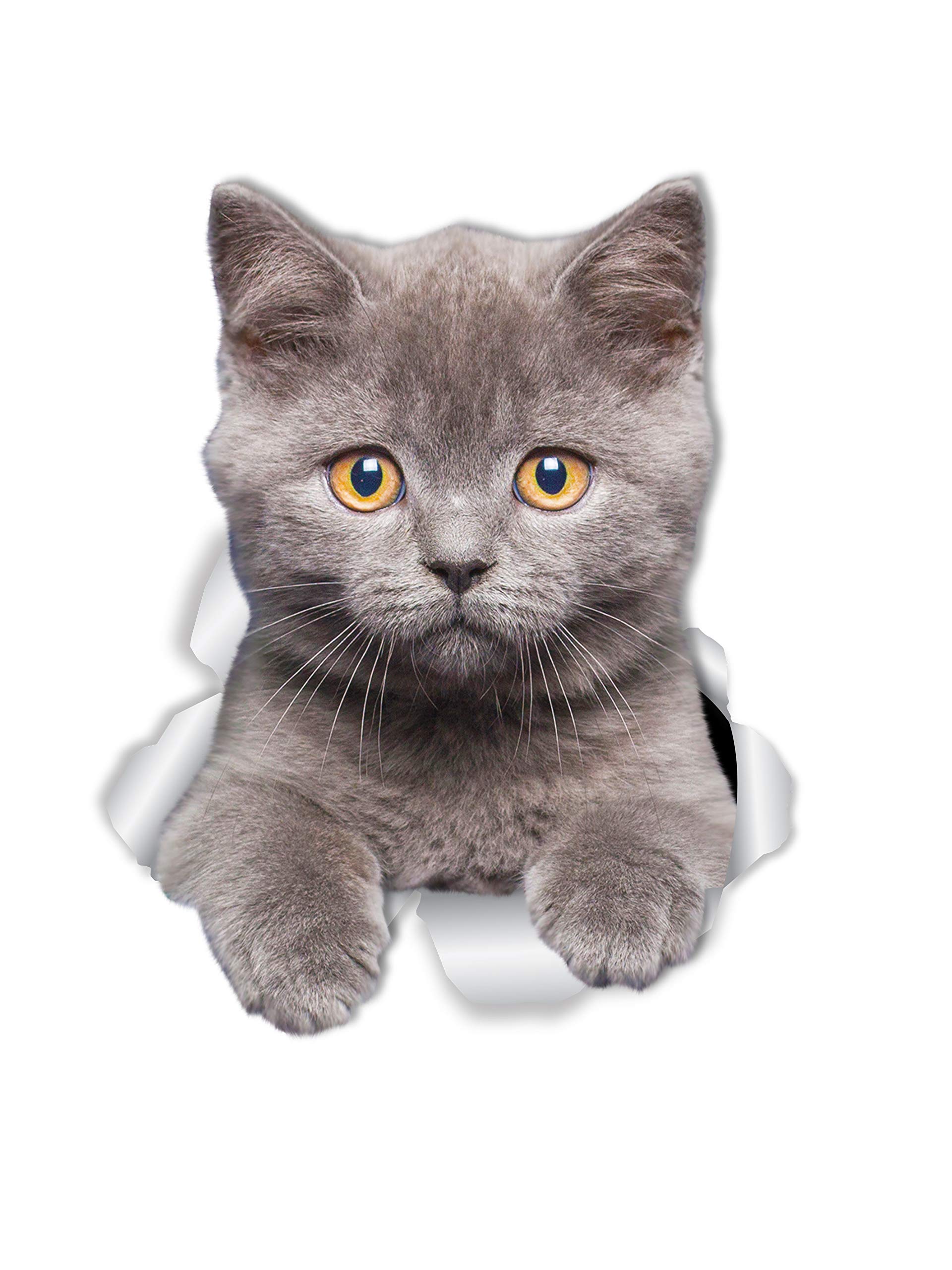 Winston & Bear British Shorthair Cat Wall Decals - 2 Pack - British Shorthair Cat Toilet Sticker – 3D Cat Car Window and Bumper Sticker - Retail Packaged Grey Kitten Lover Gifts
