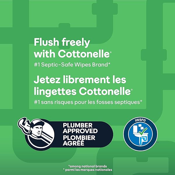 COTTONELLE GENTLEPLUS FLUSHABLE WET WIPES WITH ALOE & VITAMIN E – 2 FLIP-TOP PACKS, 84 TOTAL FLUSHABLE WIPES, 42 COUNT (PACK OF 2)