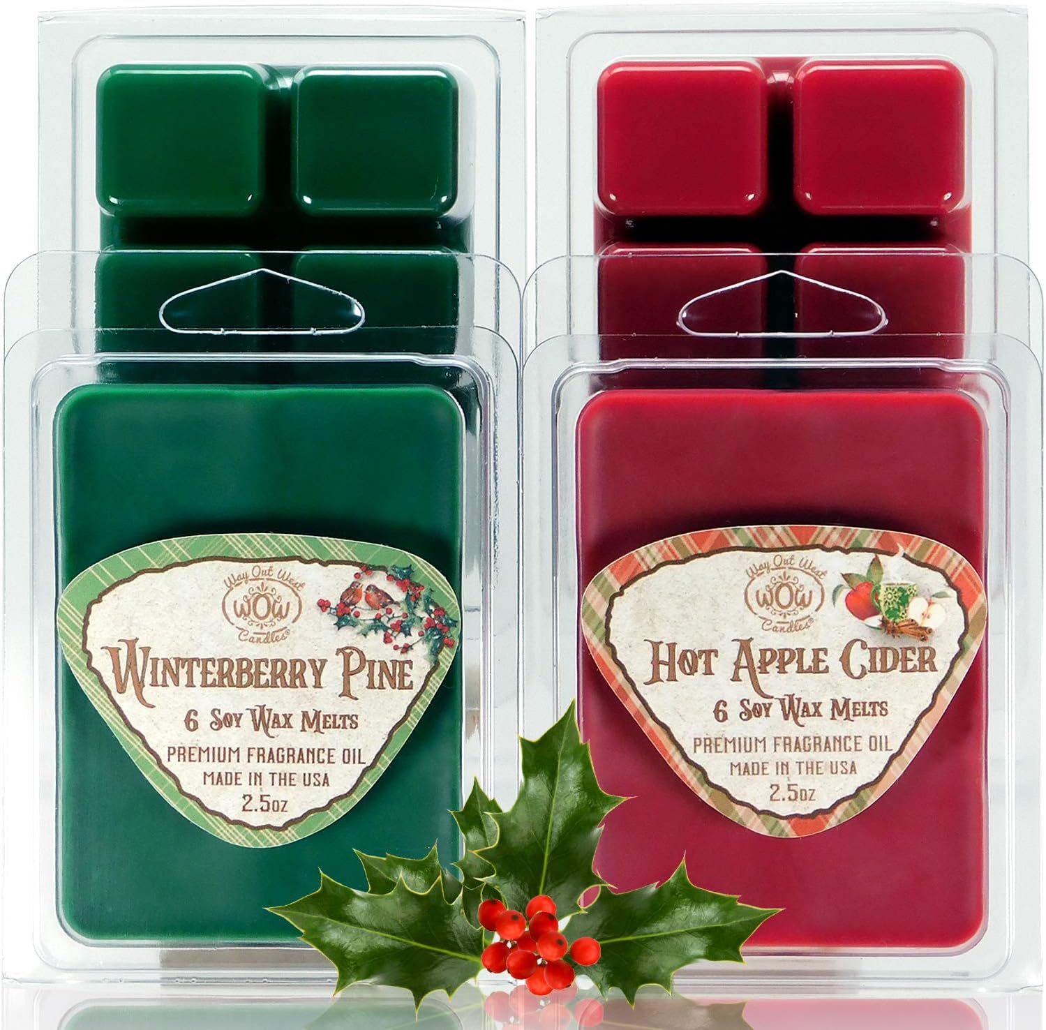 Way Out West Candles - Scented Wax Melts - Highly Fragrant Air Freshener - 4 Pack Assorted Set of 6 Melt Cubes (4, Hot Apple Cider & Winterberry Pine)