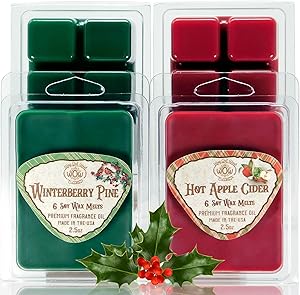 Way Out West Candles - Scented Wax Melts - Highly Fragrant Air Freshener - 4 Pack Assorted Set of 6 Melt Cubes (4, Hot Apple Cider & Winterberry Pine)
