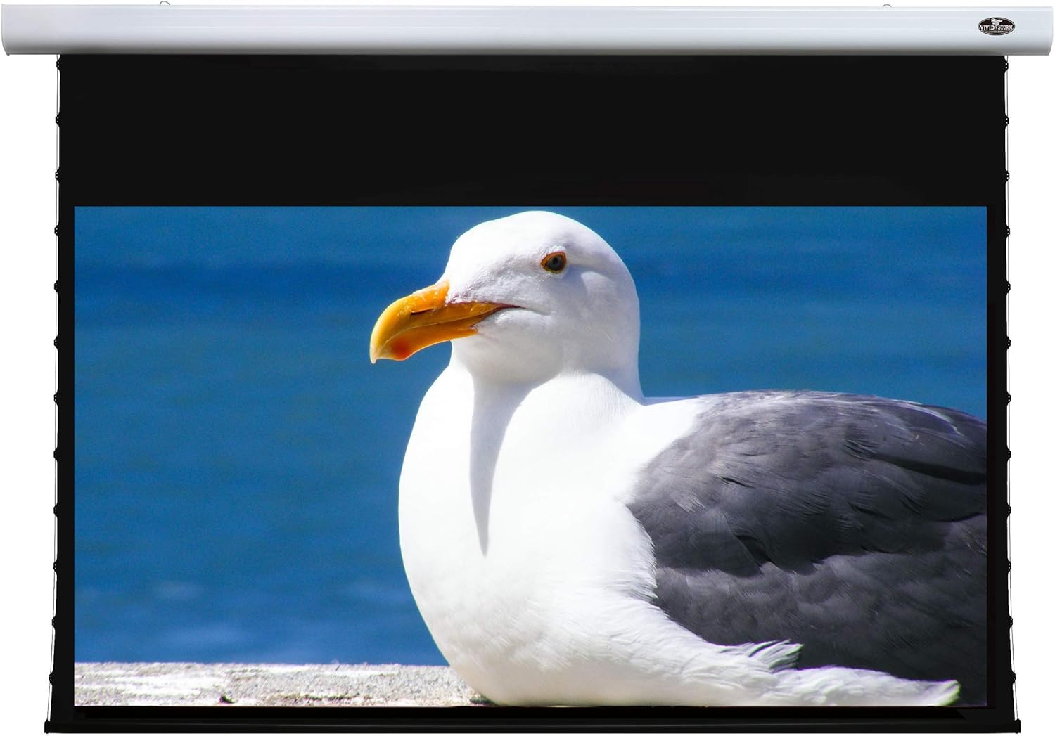 VIVIDSTORM Office Presentation Mortar Mount Tension Screen,Electric Drop Down Projector Screen,120-inch Diag 16:9, White Cinema Screen Material,Gain 1.1, Wireless 12V Projector Trigger,Model:VXZLW120H