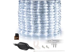 WYZworks 1116LEDs 100ft LED Outside Rope Lights, Outdoor ETL Certified Waterproof Permanent 360 Degree Light Emitting, Flexible Tube, Connectable, Christmas Palm Tree Exterior Landscape, Cool White