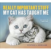 Really Important Stuff My Cat Has Taught Me