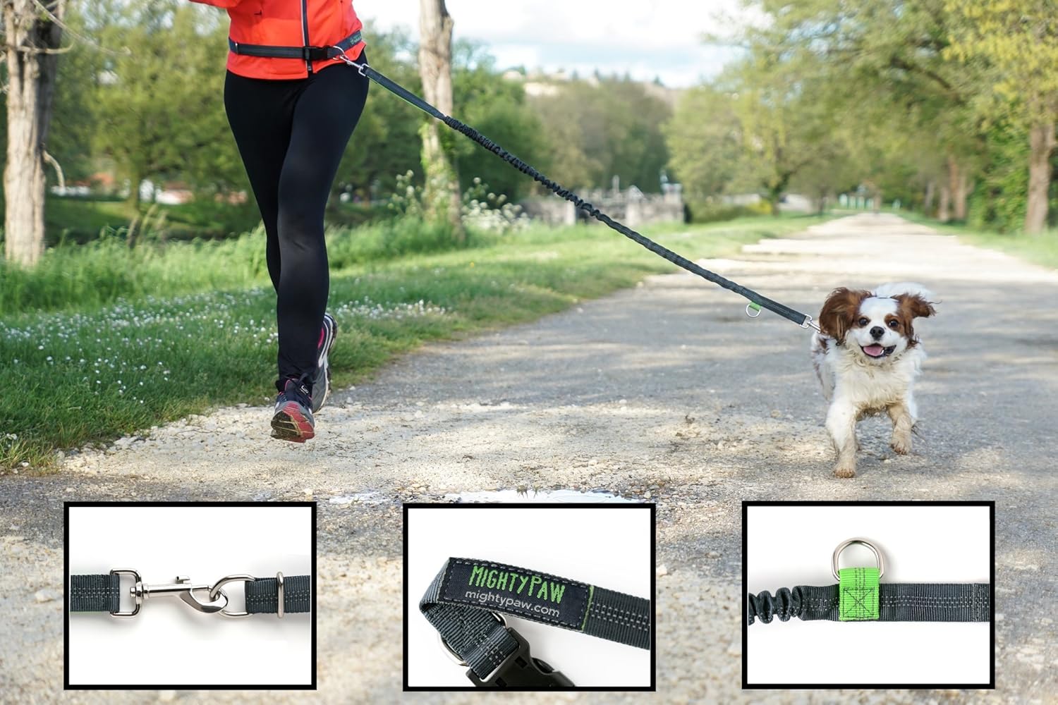 mighty paw dog leash