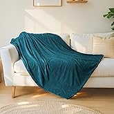 RALYSUN Throw Blanket for Couch & Bed, Premium Silky Flannel Cozy Blanket 60x80 inches, Super Soft Lightweight Warm Bed Blanket Winter, Travel Camping Room Decor, Lake Blue