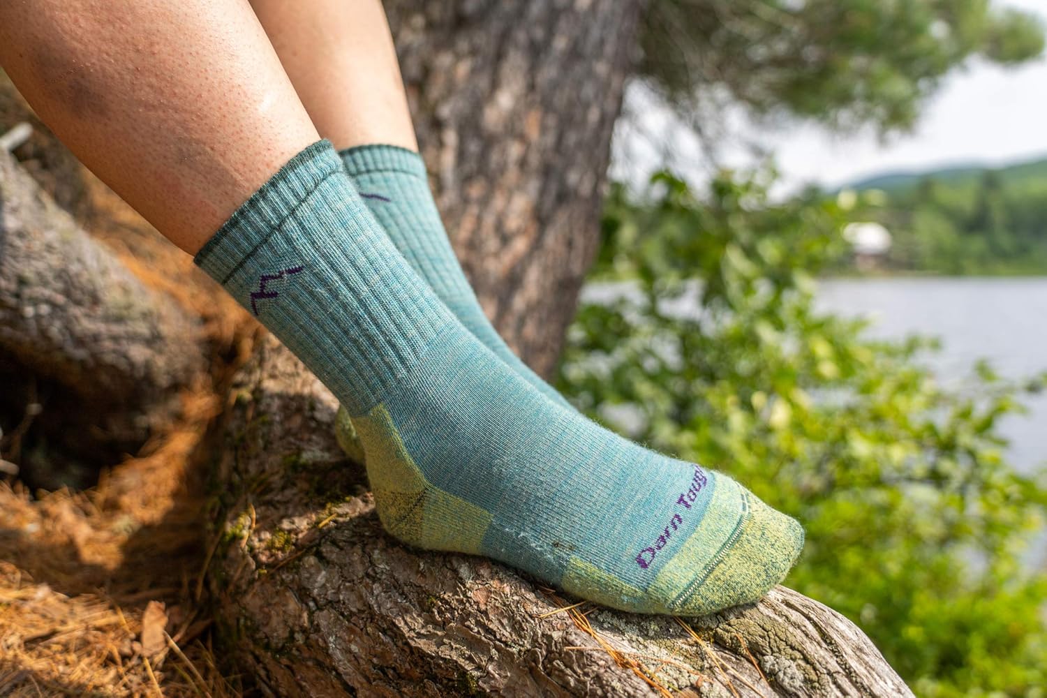 Darn Tough Hiker Micro Crew Midweight Sock with Cushion - Women's : Smartwool Men S Hiking Medium Crew Sock : Clothing