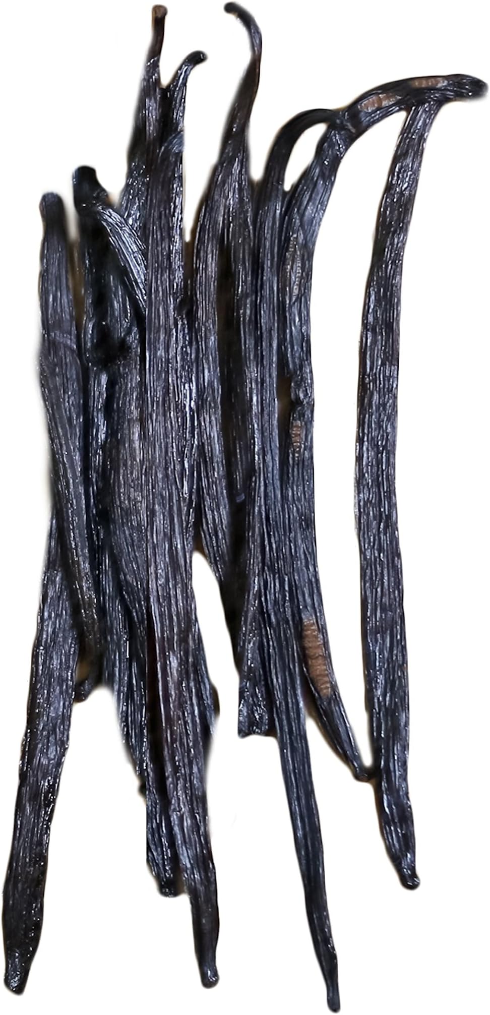 Madagascar Bourbon Vanilla Beans (10 Beans)