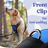 rabbitgoo Dog Harness Large No-Pull Front Back Clips Reflective Blue L view 7