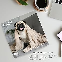 July 2025- December 2026 Pugs Wall Calendar 18