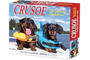 Willow Creek Press Crusoe the Celebrity Dachshund Daily 2025 Box/Desk Calendar (5.86" x 4.72")