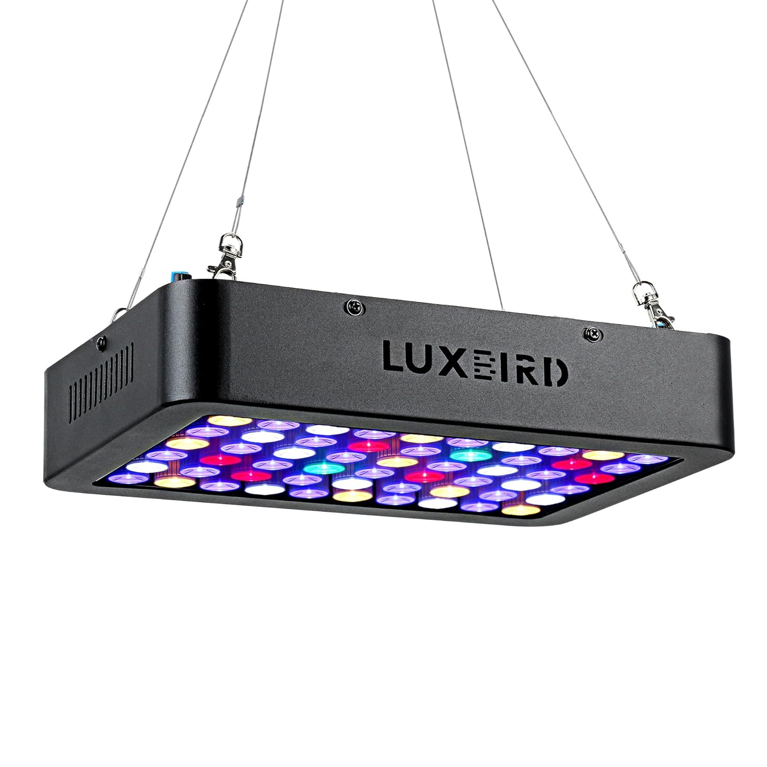 Best Coral Led Lighting For Saltwater Aquarium