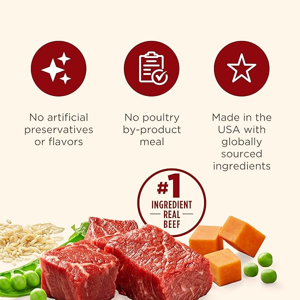 NUTRISH REAL BEEF & PUMPKIN RECIPE WHOLE HEALTH BLEND PREMIUM PATÉ WET DOG FOOD, 13 OZ. CAN, 12 COUNT, PACKAGING MAY VARY (RACHAEL RAY)