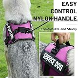 Belababy Soft No Pull Dog Harness Small Adjustable Reflective Purple view 5