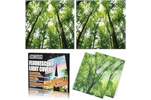 ANGSYLTH 4 Pcs Fluorescent Light Covers - 2 x 2 Feet Covers for Ceiling Lights, Magnetic Light Filters for Classroom, Office, Hospitals, Home (Spring & Forest)
