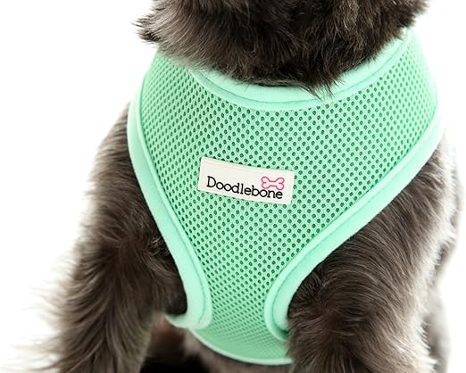 doodlebone dog collars