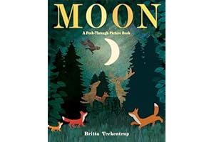 Moon: A Peek-Through Picture Book