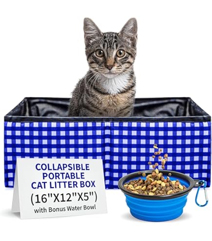 Self Cleaning Litter Boxes For Cats Petskd Portable Cat Travel