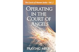 Operating in the Court of Angels (The Courts of Heaven Book 2)