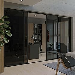 Doors 55 Glass Room Divider Panel and Partition
