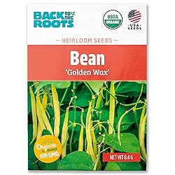 Back to the Roots 100% Organic Seed Packet - Bean