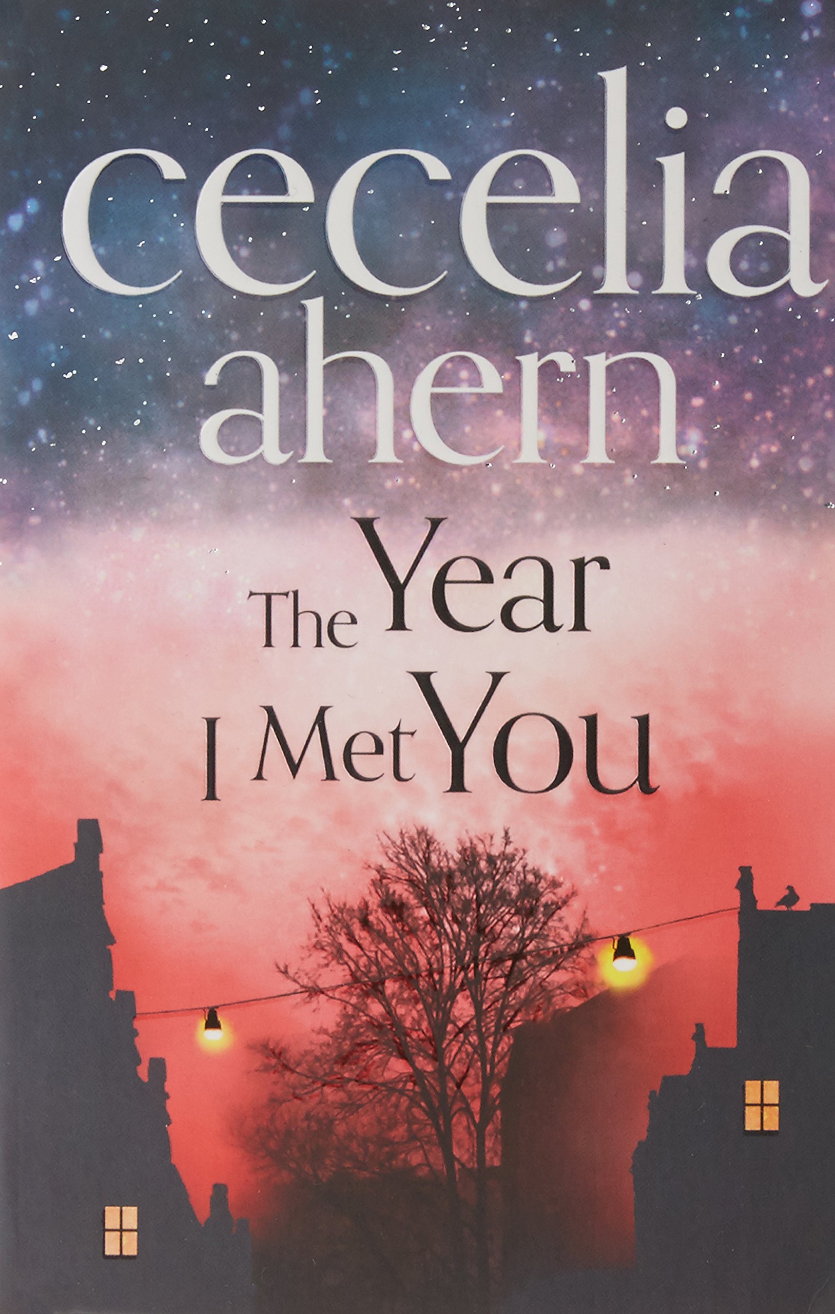 The Year I Met You — Cecelia Ahern