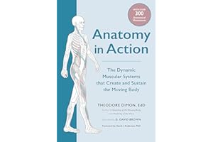 Anatomy in Action: The Dynamic Muscular Systems that Create and Sustain the Moving Body