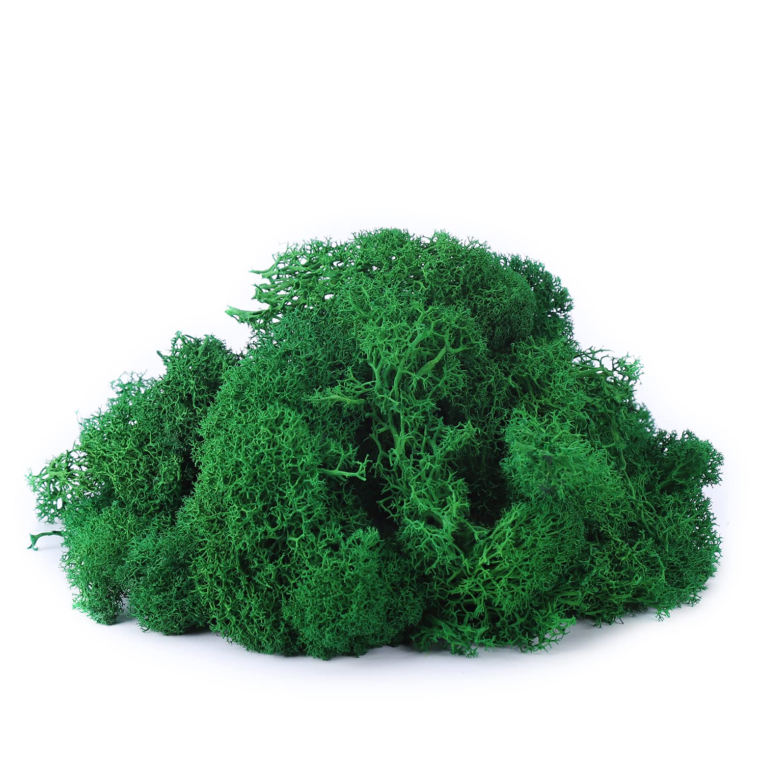 IHKFILAN Reindeer Moss 100Gram Real Preserved Natural for Crafts, Decorative Easter Decoration, Model Making (Emerald Green, 3.5OZ)